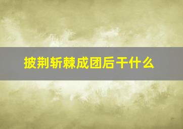 披荆斩棘成团后干什么