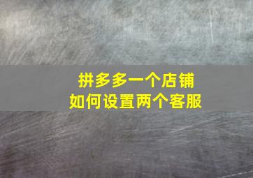 拼多多一个店铺如何设置两个客服