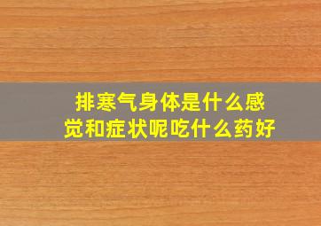 排寒气身体是什么感觉和症状呢吃什么药好