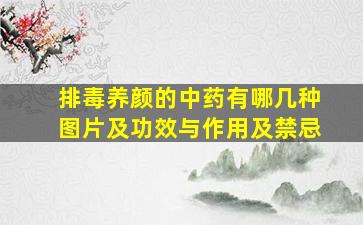 排毒养颜的中药有哪几种图片及功效与作用及禁忌