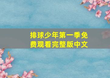 排球少年第一季免费观看完整版中文