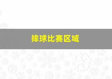 排球比赛区域