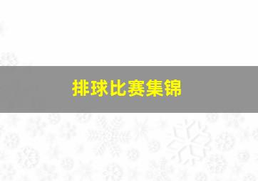 排球比赛集锦