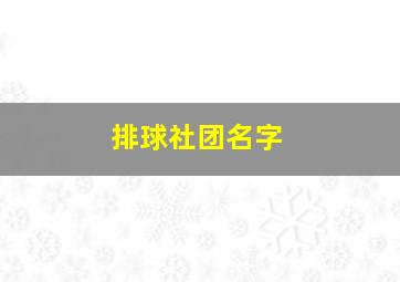 排球社团名字