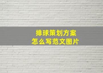 排球策划方案怎么写范文图片