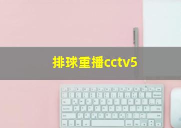 排球重播cctv5