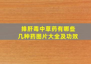 排肝毒中草药有哪些几种药图片大全及功效