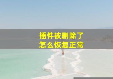 插件被删除了怎么恢复正常