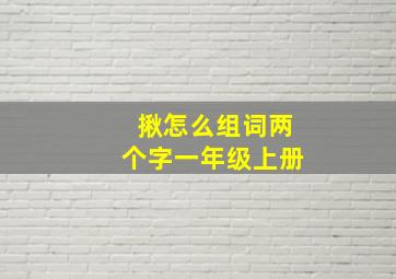 揪怎么组词两个字一年级上册