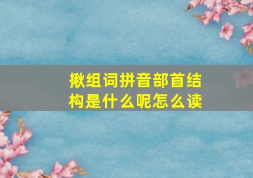 揪组词拼音部首结构是什么呢怎么读