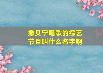 撒贝宁唱歌的综艺节目叫什么名字啊