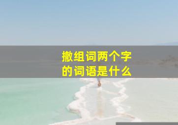 撤组词两个字的词语是什么