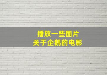 播放一些图片关于企鹅的电影