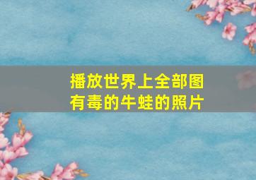 播放世界上全部图有毒的牛蛙的照片