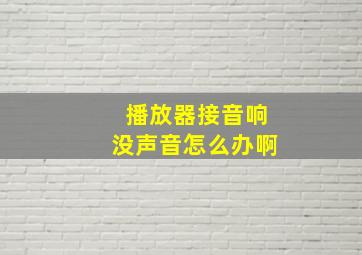 播放器接音响没声音怎么办啊