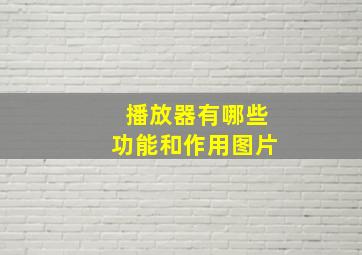 播放器有哪些功能和作用图片