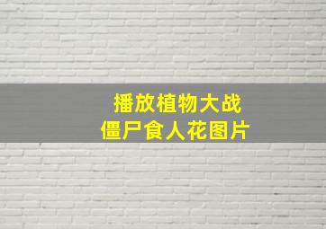 播放植物大战僵尸食人花图片