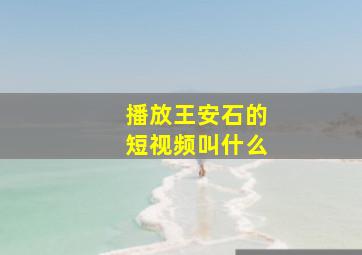 播放王安石的短视频叫什么