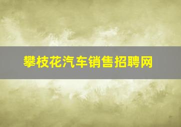 攀枝花汽车销售招聘网