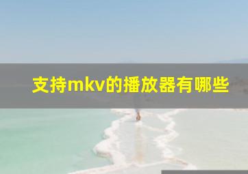 支持mkv的播放器有哪些