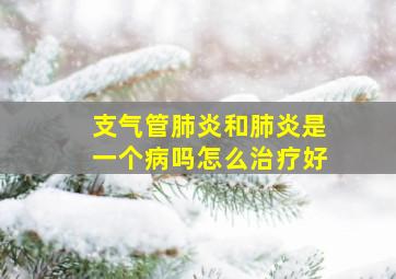 支气管肺炎和肺炎是一个病吗怎么治疗好