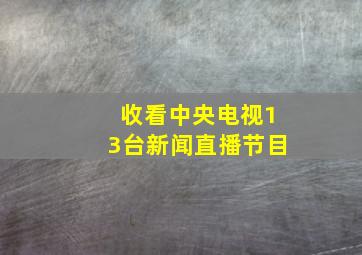 收看中央电视13台新闻直播节目