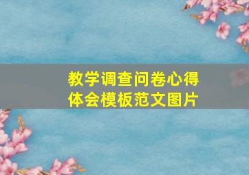 教学调查问卷心得体会模板范文图片