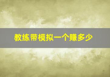 教练带模拟一个赚多少