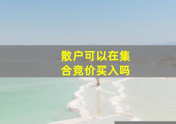 散户可以在集合竞价买入吗