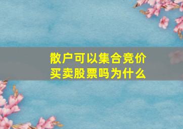 散户可以集合竞价买卖股票吗为什么