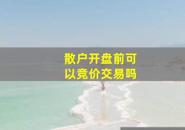 散户开盘前可以竞价交易吗