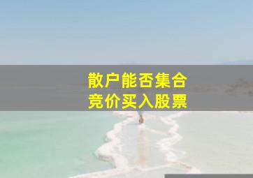 散户能否集合竞价买入股票