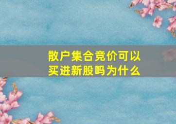 散户集合竞价可以买进新股吗为什么