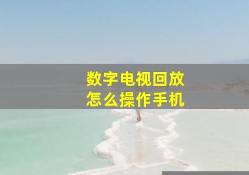 数字电视回放怎么操作手机