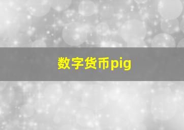 数字货币pig