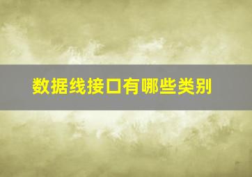 数据线接口有哪些类别