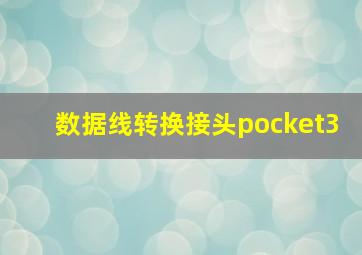 数据线转换接头pocket3