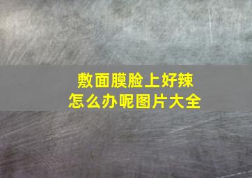 敷面膜脸上好辣怎么办呢图片大全