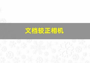 文档较正相机