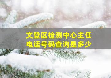 文登区检测中心主任电话号码查询是多少