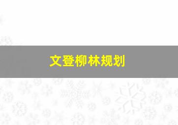 文登柳林规划