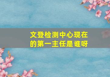 文登检测中心现在的第一主任是谁呀