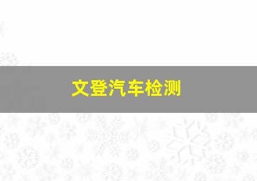 文登汽车检测