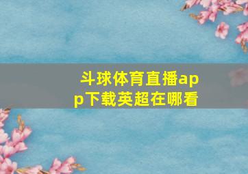 斗球体育直播app下载英超在哪看