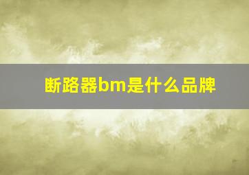 断路器bm是什么品牌