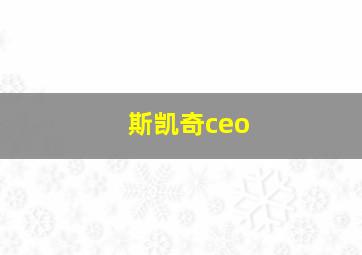 斯凯奇ceo