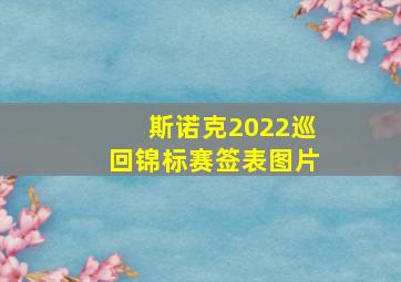 斯诺克2022巡回锦标赛签表图片