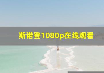 斯诺登1080p在线观看