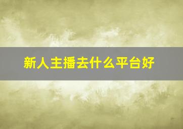 新人主播去什么平台好