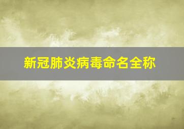 新冠肺炎病毒命名全称